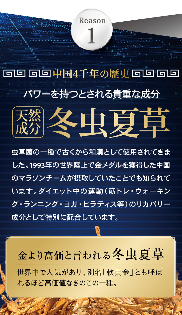 Reason1 中国4千年の歴史 パワーを持つとされる貴重な成分 天然成分 冬虫夏草