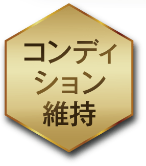 コンディション維持