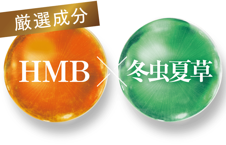 厳選成分HMB×冬虫夏草