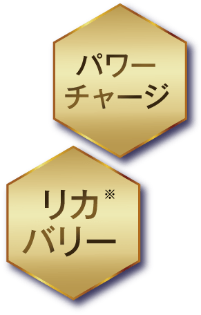 パワーチャージ リカバリー