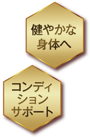 健やかな身体へ コンディションサポート
