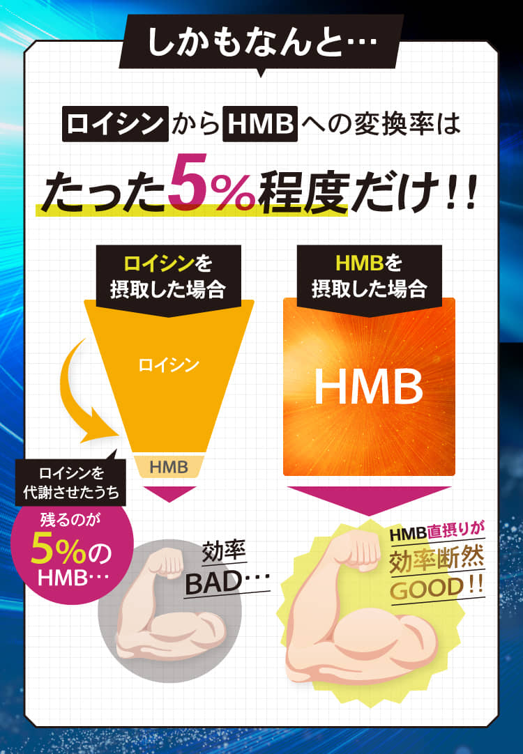 ロイシンからHMBへの変換率はたった5%程度だけ！！