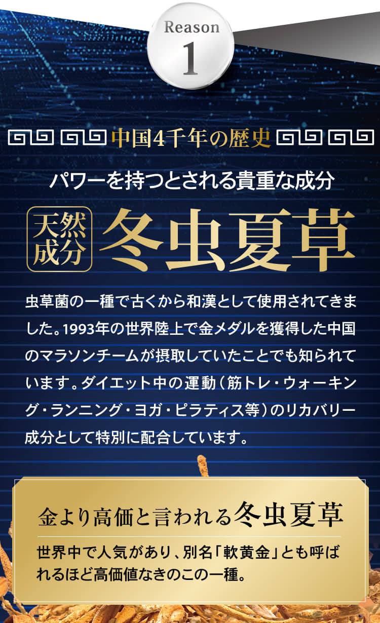 Reason1 パワーを持つとされる貴重な成分冬虫夏草