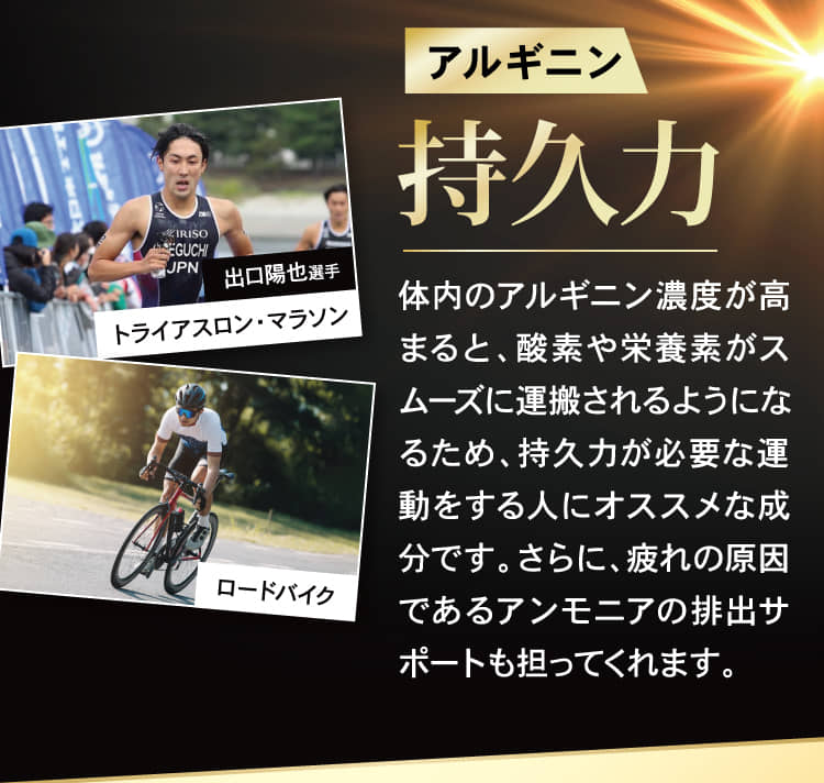アルギニン 持久力