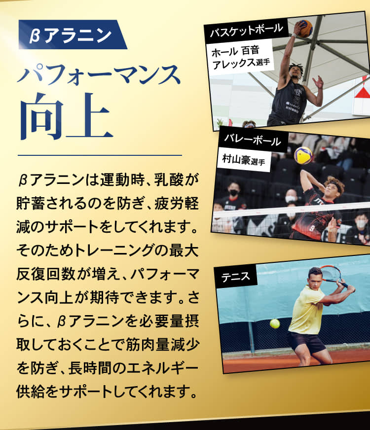 βアラニン パフォーマンス向上