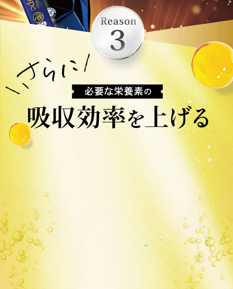 Reason3 さらに必要な栄養素の吸収効率を上げる