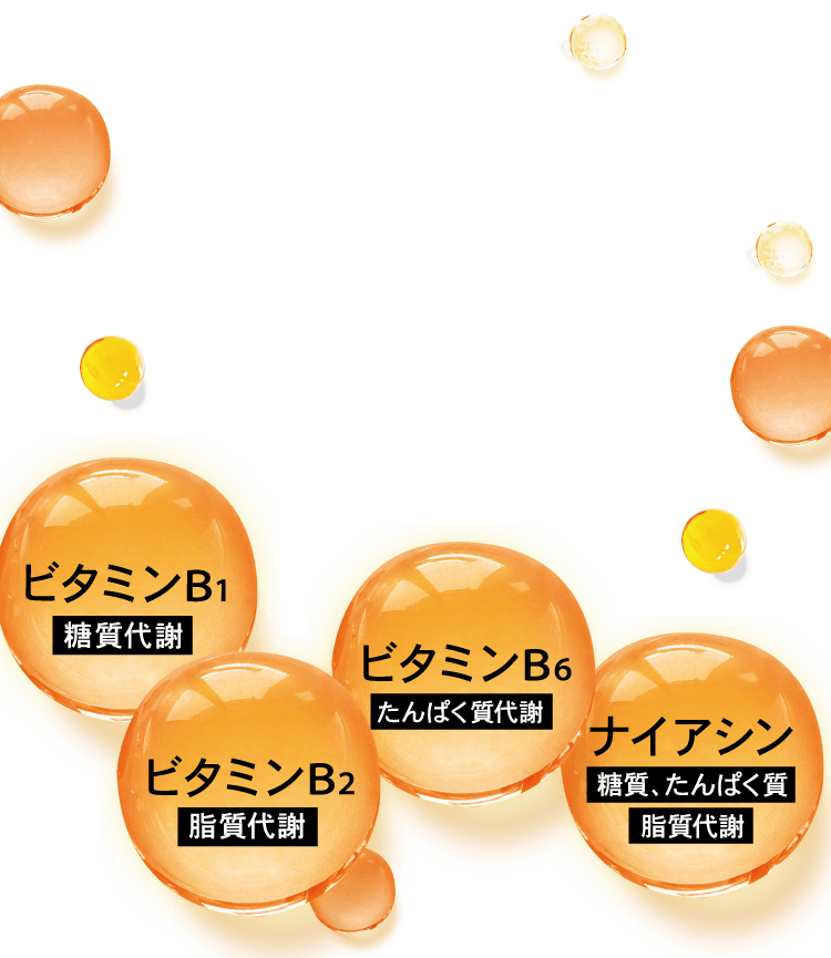 ビタミンB1 ビタミンB2 ビタミンB6 ナイアシン